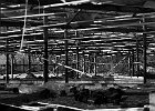  DSC0078 GinoTalamini Ontmanteling Serie2 3LO