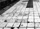GinoTalamini Mentoraat 5 DSC6060